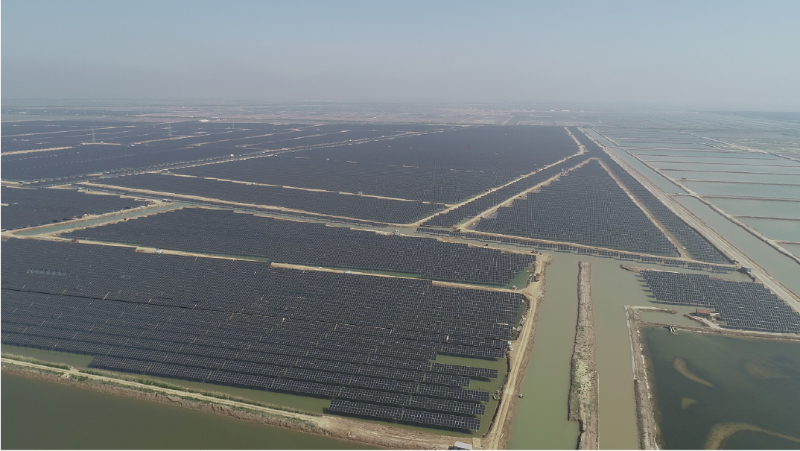 華潤財金紅光漁業800兆瓦光伏發電項目